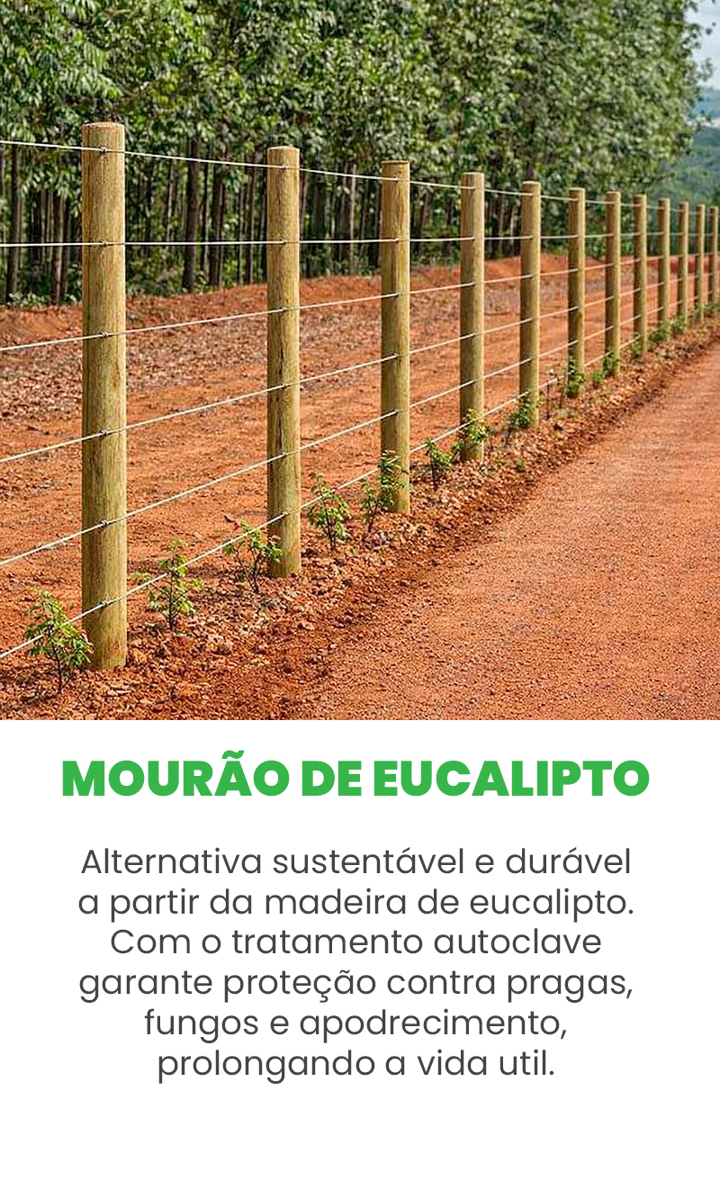 foto do perfil linkedin elegante para corretor moderno - 21